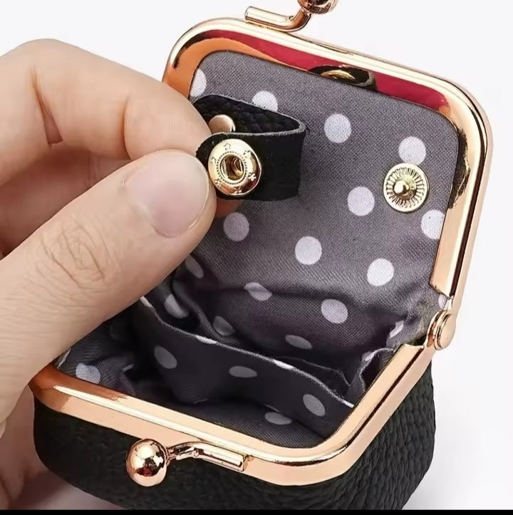The Mini Jewelry Purse