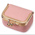 The Mini Jewelry Purse