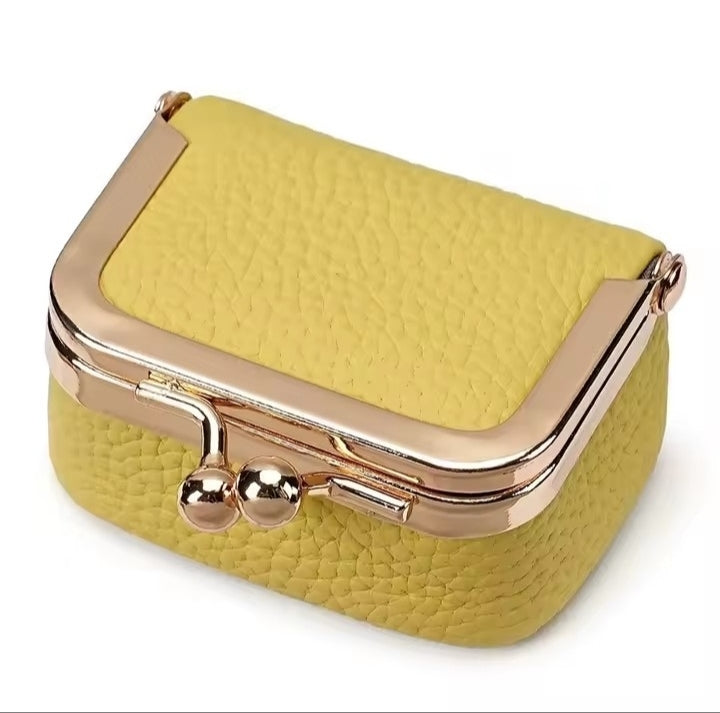 The Mini Jewelry Purse