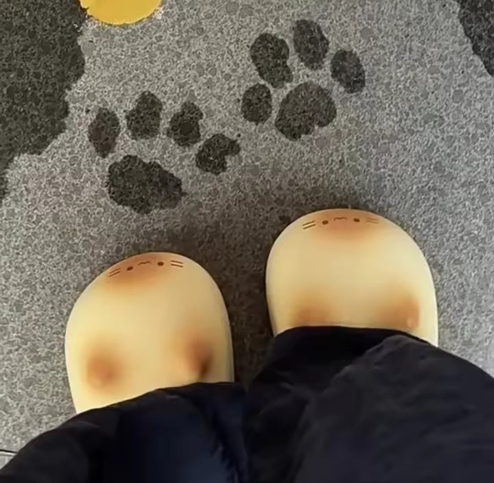 Cat slippers 🐾