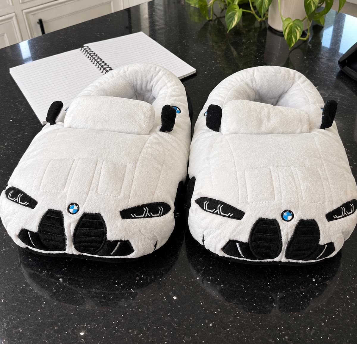 CAR SLIPPERS