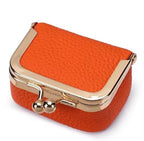 The Mini Jewelry Purse