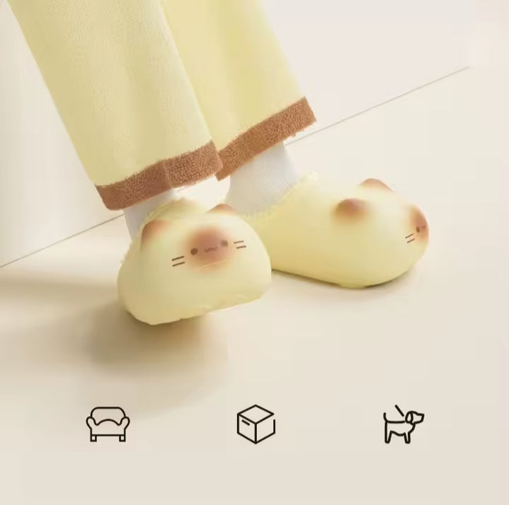 Cat slippers 🐾